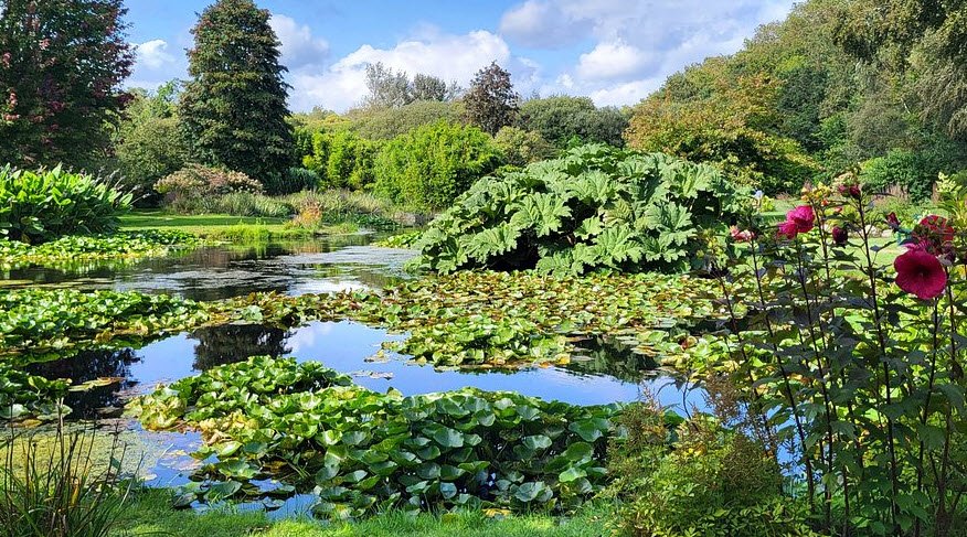 Cornouaille Botanical Garden, Combrit, France, France